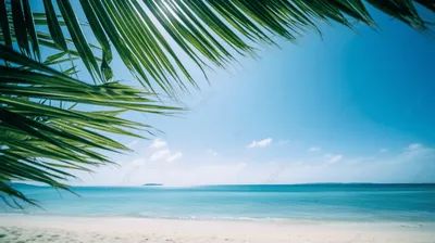 Взгляд пляжа с пальмами в Puerto Viejo De Talamanca, Коста-Рика Стоковое  Изображение - изображение насчитывающей сценарно, взгляд: 82199695