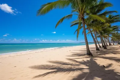 Фотообои на стену флизелиновые, Пляж под пальмами на море в лучах заката  3д, 300*270 см, рельефные, с виниловым покрытием, моющиеся - купить по  выгодной цене в интернет-магазине OZON (469741336)