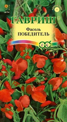 Значок СССР 1980 \"Победитель СоцСоревнования 1980\" стоимостью 205 руб.