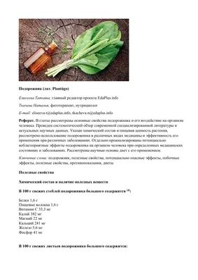 Псиллиум Mute Superfood подорожника, 100г - купить с доставкой в Самаре в  Перекрёстке