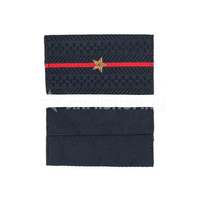 Купить фальш-погоны полиции младший лейтенант с вышитыми звездами шелк в  интернет-магазине военной одежды Барракуда