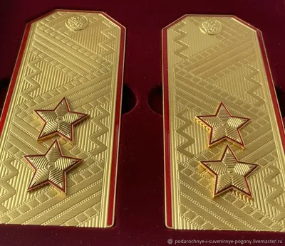 Погоны Юстиции на рубашку в сборе картон Звание лейтенант 14х5 см купить в  интернет-магазине www.kamukamu.ru