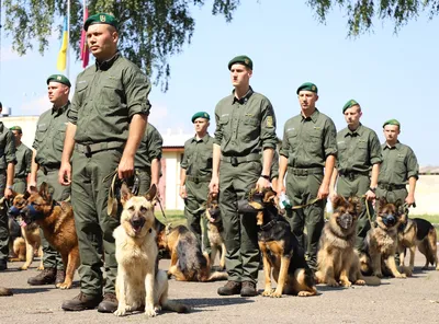 Пограничник с собакой — Каропка.ру — стендовые модели, военная миниатюра