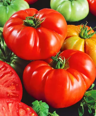 10 причин, по которым помидоры считаются мощным суперпродуктом - АЗЕРТАДЖ