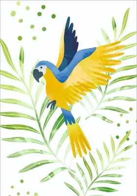 Раскраски Раскраска Какаду попугай, Раскраска Волнистый попугайчик попугай.