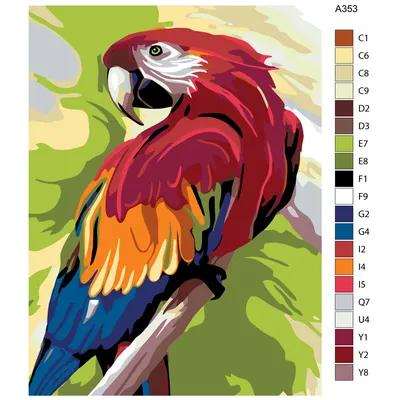 A353-75x100 Говорящий попугай Раскраска по номерам на холсте Живопись по  номерам купить недорого в интернет магазине в Ростове-на-Дону , фото, цена,  отзывы