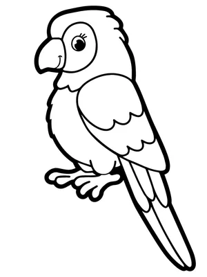 Раскраска попугай . Раскраска попугай. Обучающие раскраски.