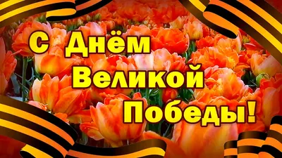 Армавирский механико-технологический техникум \"АМТТ\" - Поздравление с Днем  Победы