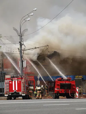 Пожарный тушит пожар» — создано в Шедевруме