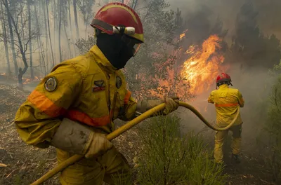 Пожарный объяснил, какие пожары тушить сложнее всего - РИА Новости Крым,  07.05.2022