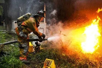 Пожарный в действии тушит пожар в горящем лесу | Премиум Фото
