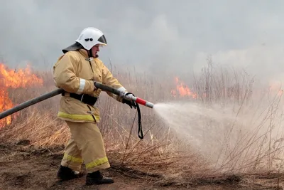 Пожарный тушит огонь редакционное изображение. изображение насчитывающей  катастрофа - 54639865