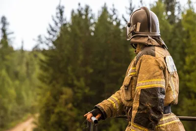 Пожарный Кислер тушит пожар с помощью ручного пожарного - Национальные  архивы США и DVIDS Поиск в мировом общественном достоянии