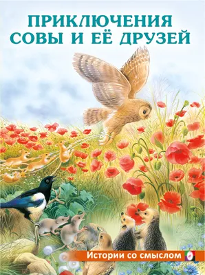 Статусы со смыслом - 👉🏻@citaty_hayluiz Оцените пост с 1 до 10. Друзья у  меня есть мечта собрать 100К подписчиков (адекватных людей)😇. Если не  трудно подписывайтесь. . . . . . . . . . #