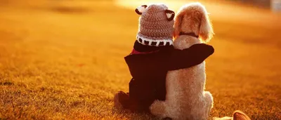 Статусы со смыслом - 👉🏻@citaty_hayluiz Оцените пост с 1 до 10. Друзья у  меня есть мечта собрать 100К подписчиков (адекватных людей)😇. Если не  трудно подписывайтесь. . . . . . . . . . #