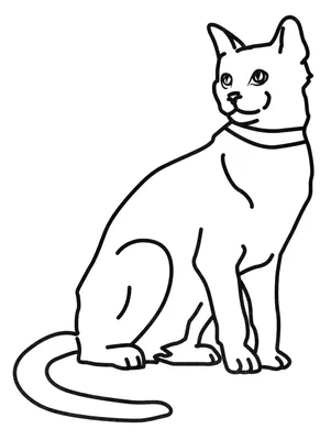 Раскраска кошка с клубком ниток | Кошачьи картины, Раскраски, Кошки
