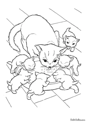 Раскраска Английская короткошерстная | Раскраски кошек. Рисунки кошек,  картинки кошек Дитячі розфарбовки размалев… | Раскраски, Бесплатные  раскраски, Трафареты