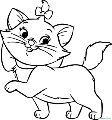 Раскраска животных кошка. раскраски животных раскраска кошка для детей.  Разукраски.