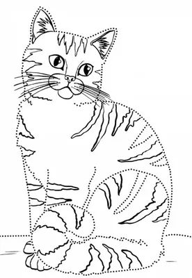 раскраска кошка | Раскраски, Рисование, Рисовать
