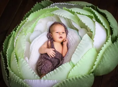 Кто сказал, что малышей находят не в капусте?)) Смотрите ☝️  🥬🥦🥬🥦🥬🥦🥬🥦🥬🥦🥬🥦🥬 Фотосессии беременности Детские фотосессии  Съемка… | Instagram