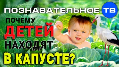 Ватные игрушки пеленашки Детки в капусте | Игрушки, Мягкие куклы, Куколки