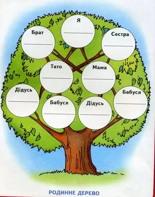 Картинка родословного дерева фотографии