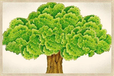 Дерево семейное шаблон: фото и картинки - pictx.ru