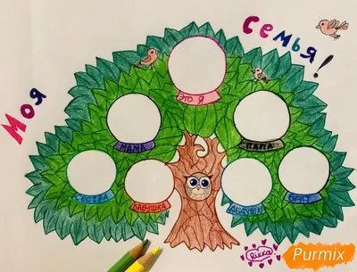 Рисунок для срисовки дерево семьи (40 шт)