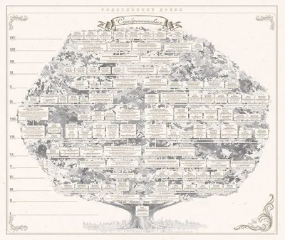 Древо родословное рисунок - 58 фото