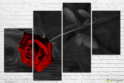 Красивая Красная Роза Черном Фоне стоковое фото ©Wirestock 553147890