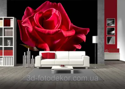 3D Фото обои \"Красная роза на черном фоне\" - Любой размер! Читаем описание!  (ID#1977337612), цена: 420 ₴, купить на Prom.ua