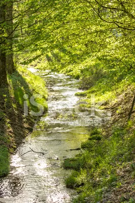 File:Весна. ручей, впадающей в реку Тосна.jpg - Wikimedia Commons