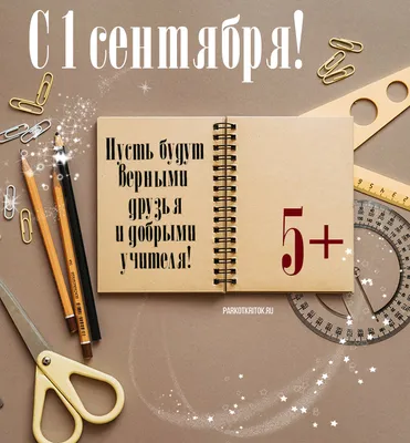 Букет учителю на 1 сентября купить в Екатеринбурге. CrazyBuket.ru