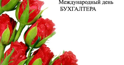 Картинки с Днем бухгалтера 2022 в Украине – поздравления с праздником -  Lifestyle 24