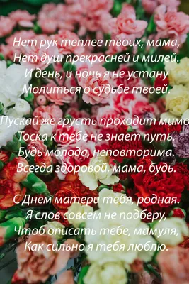 Поздравление главы Алейского района С.Я. Агарковой с Днем матери.  Администрация Алейского района Алтайского края. Официальный сайт