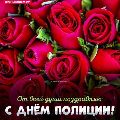 Открытка с Днём Полиции, с красными розами • Аудио от Путина, голосовые,  музыкальные