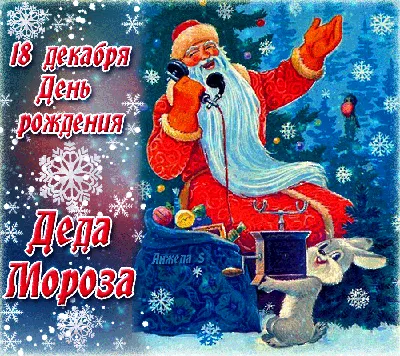 Квестовая программа «День рождения Деда Мороза» — МБУ «ДК Апрелевка»