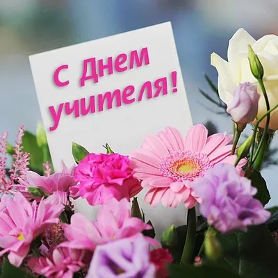 С днем рождения, Наталья Сергеевна! | 08.04.2023 | Новости Калининграда -  БезФормата