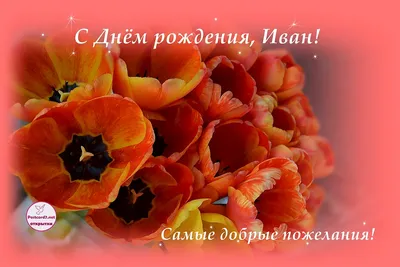 Надпись - Иван, от всей души поздравляю с днём рождения