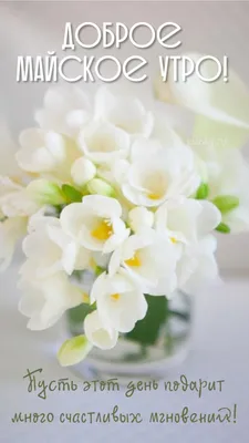 Доброе утро май - новые картинки (73 ФОТО) | Flowers photography, Beautiful  flower arrangements, Pretty flowers