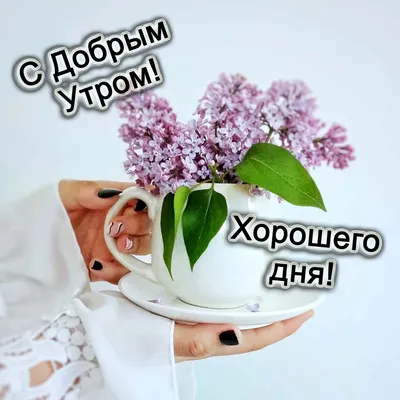 Открытки - С добрым утром и хорошим днём | Facebook