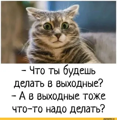 Кружка Сотвори Чудо \"Ты - лучшее!\", 350 мл, 1 шт - купить по доступным  ценам в интернет-магазине OZON (526513133)