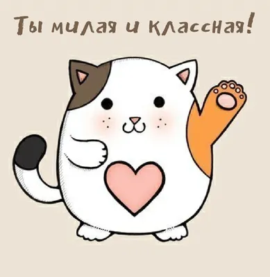 Рамка для номера с надписью НЕ ВАЖНО КАК ТЫ ЕЗДИШЬ, ВАЖНО КАК ТЫ ДВИГАЕШЬСЯ  черная пластиковая купить в интернет-магазине Gradicom.ru