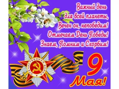 День Победы 9 мая: красивые открытки, картинки и поздравления в стихах и  прозе | Весь Искитим | Дзен