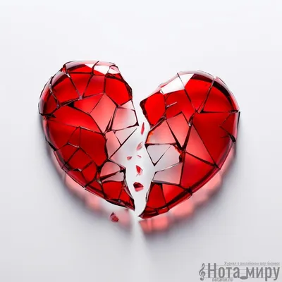 Анатомия сердца человека. Просто и доступно