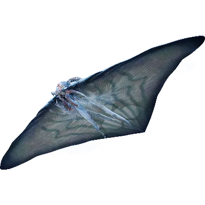 Игрушка Collecta Рохлевый скат фигурка морского животного купить по цене  634 ₽ в интернет-магазине Детский мир