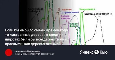 Сценический Вид На Осенний Пейзаж Осенние Цвета Деревьев Голубой Воды  Дерева Отраженного В Озере Смены Времен Года Солнечное Утро Осен — стоковые  фотографии и другие картинки Тропа - iStock