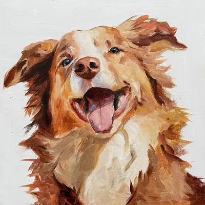 Милое Дело - Собака-улыбака для хорошего настроения. Ветер в харю, а я  -шпарю!!! 🙈😜😂🐶#art #digitalart #paint #drawing #funpictures #funny #dog  #смешнаясобака #рисунок #картинка #собакин #собакаулыбака | Facebook