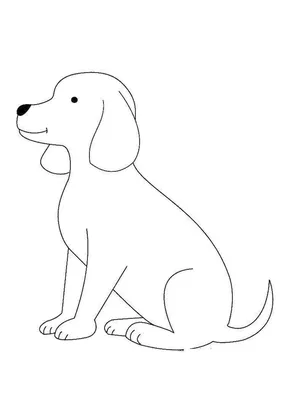 Картинка собаки рисунок фотографии