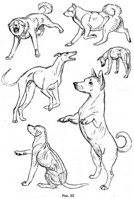 Купить Металлический абстрактный орнамент собаки, геометрический рисунок  собаки, художественная статуя, украшение дома | Joom